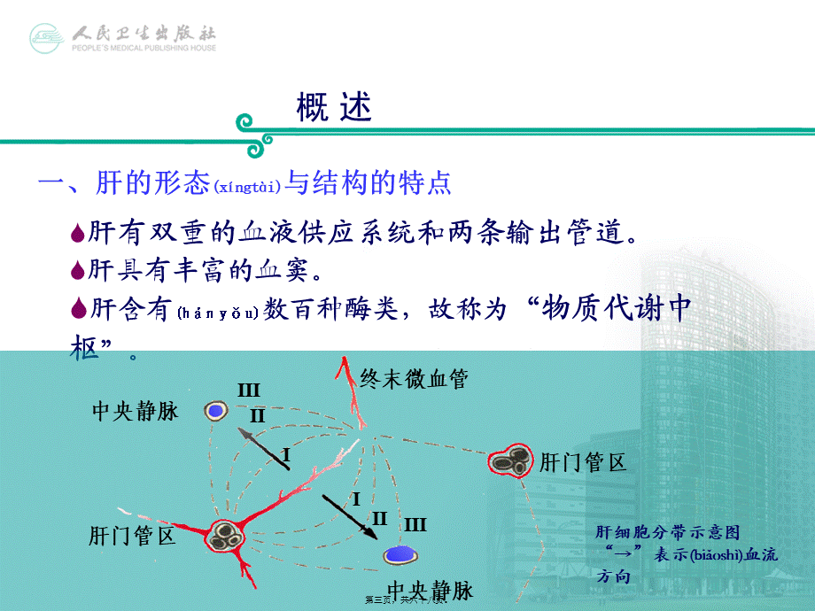 2022年医学专题—第十四篇-肝生化.ppt_第3页