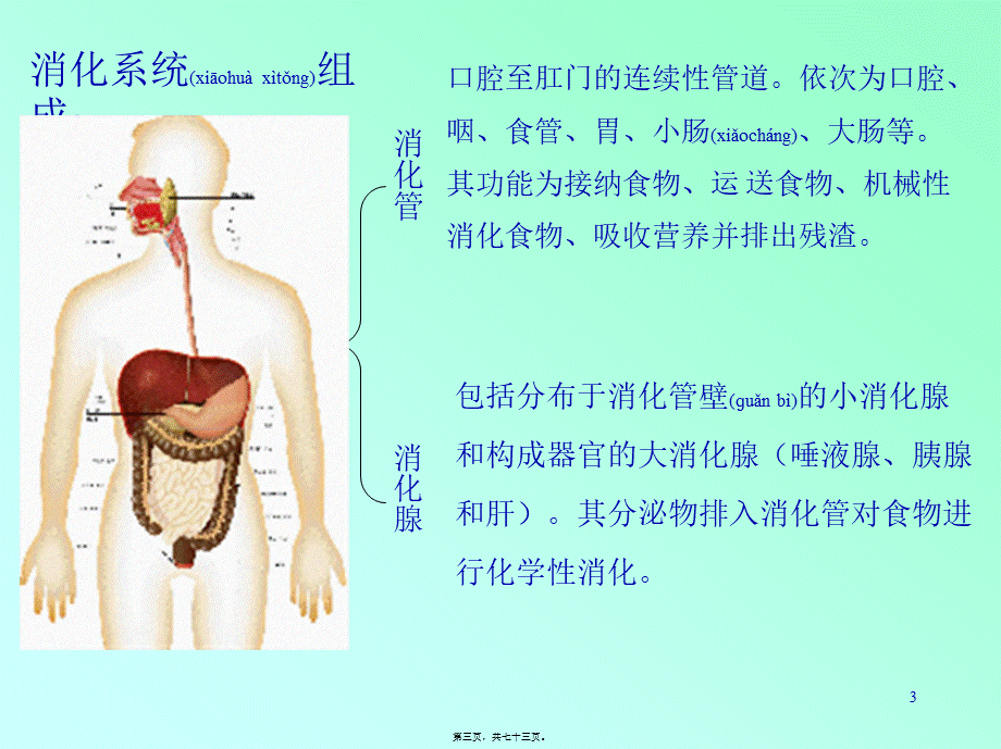 2022年医学专题—消化系统生理.ppt_第3页