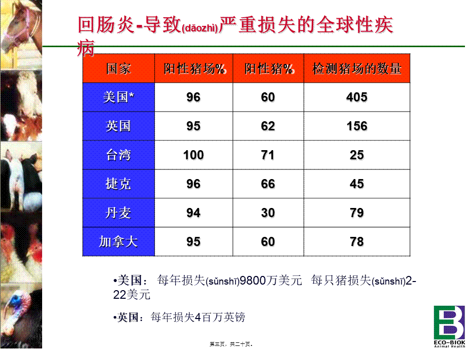 2022年医学专题—猪回肠炎---猪回肠炎简介(1).ppt_第3页