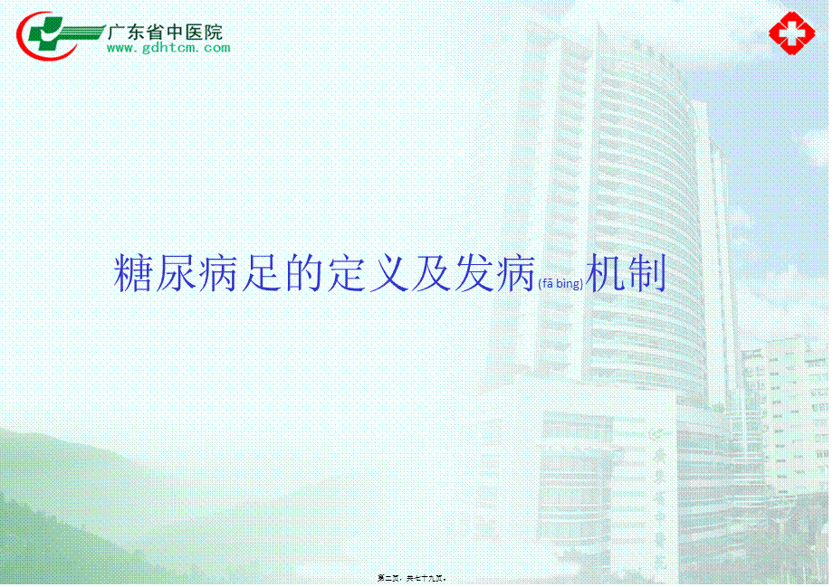 2022年医学专题—糖尿病足中西医诊疗.ppt_第2页