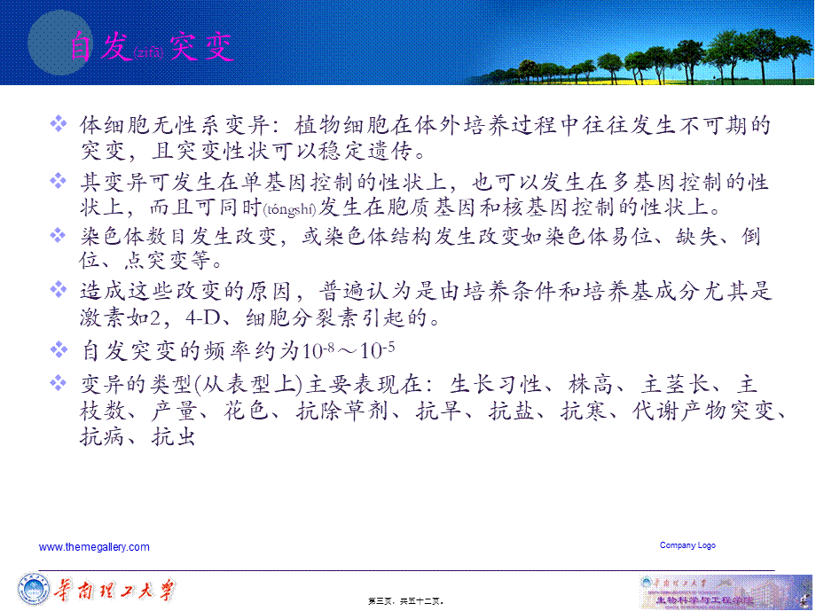 2022年医学专题—细胞工程-第三章-植物组织培养技术4.ppt_第3页