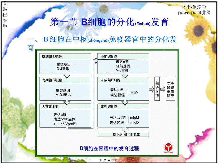 2022年医学专题—第九章-B淋巴细胞2009.01.ppt_第2页