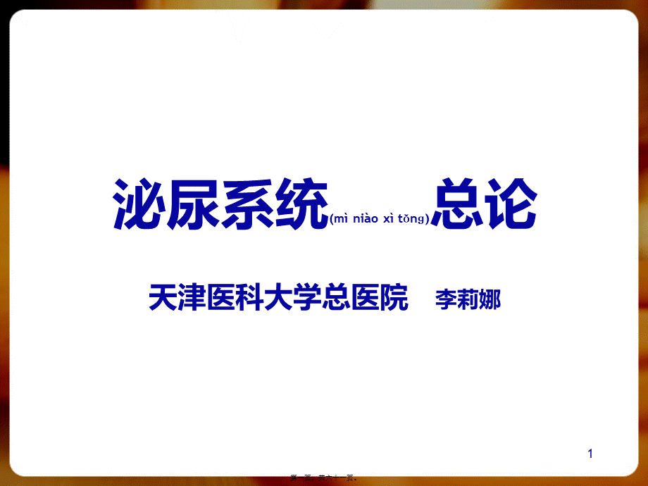 2022年医学专题—泌尿系统总论(1).pptx_第1页