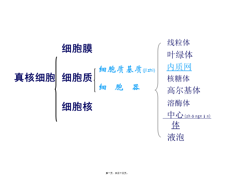 2022年医学专题—细胞器-系统内的合作分工.ppt_第1页