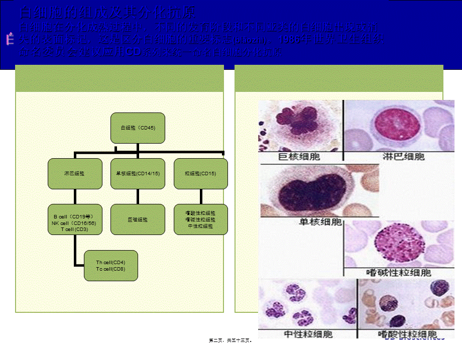 2022年医学专题—流式细胞仪原理及应用(HIV)(1).ppt_第2页