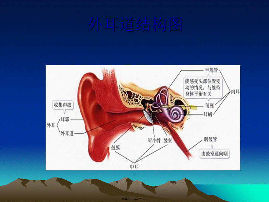 2022年医学专题—.儿童听力障碍剖析(1).ppt_第3页