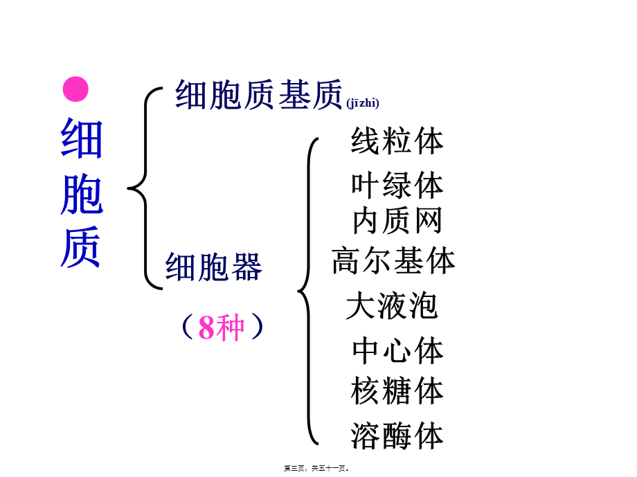 2022年医学专题—必修1-第二单元-第二讲--细胞器——系统内的分工与合作(1).ppt_第3页