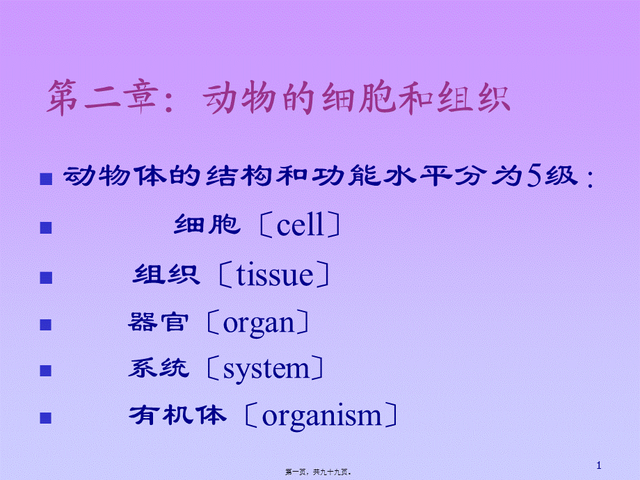 动物的细胞和组织.pptx_第1页