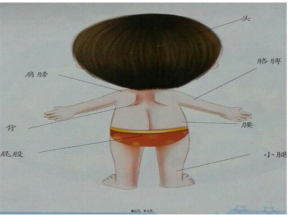 2022年医学专题—大班健康(身体部位)李艳玲.ppt_第3页