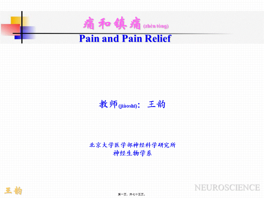 2022年医学专题—p2痛觉产生的基础理论知识.ppt_第1页