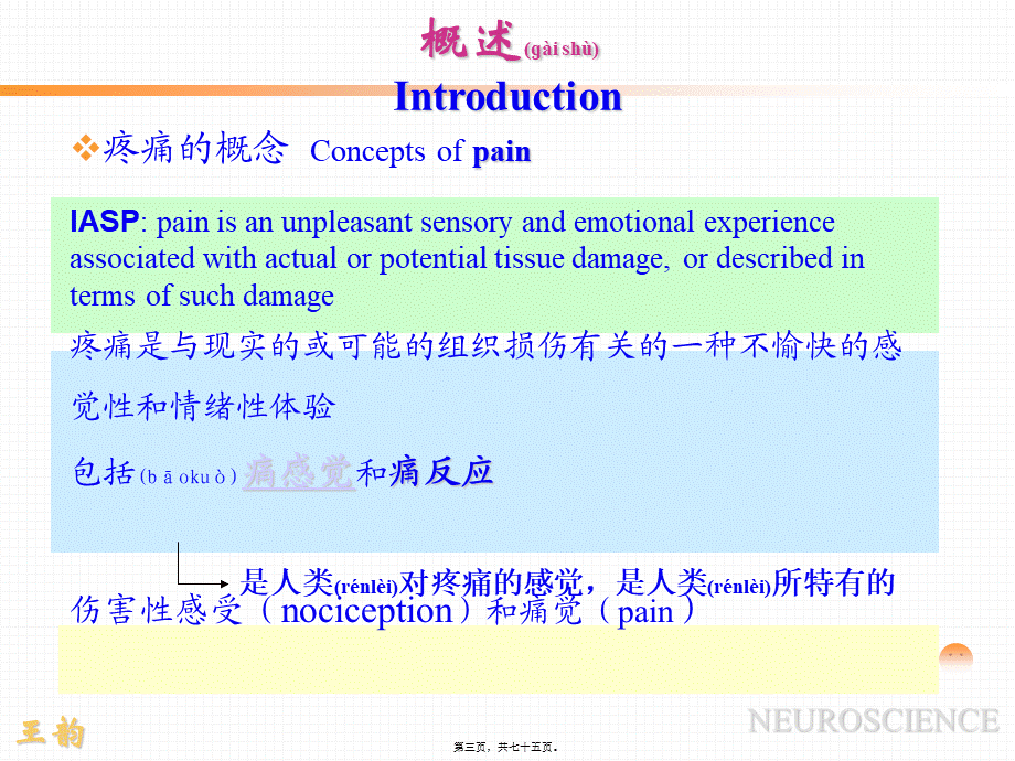 2022年医学专题—p2痛觉产生的基础理论知识.ppt_第3页