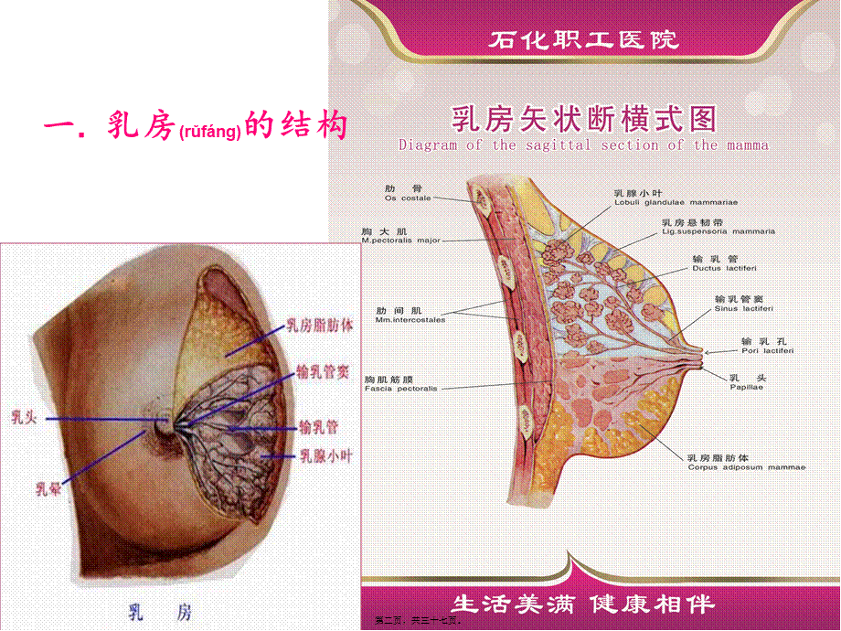 2022年医学专题—孕妇学校：母乳喂养指导.ppt_第2页