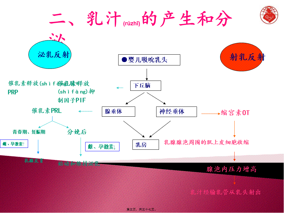 2022年医学专题—孕妇学校：母乳喂养指导.ppt_第3页