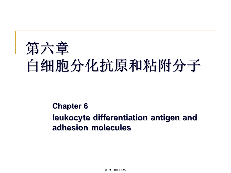 2022年医学专题—第六章-白细胞分化抗原和粘附分子.(1).ppt_第1页