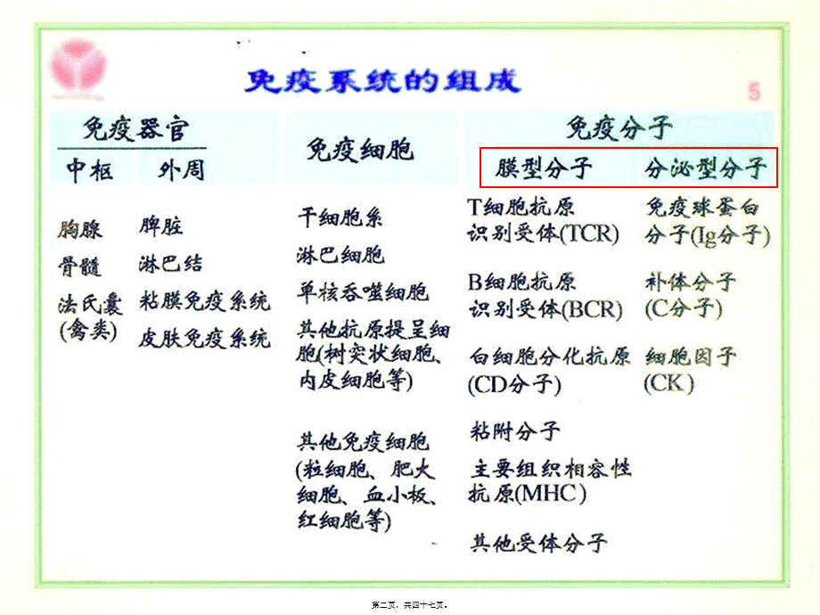 2022年医学专题—第六章-白细胞分化抗原和粘附分子.(1).ppt_第2页