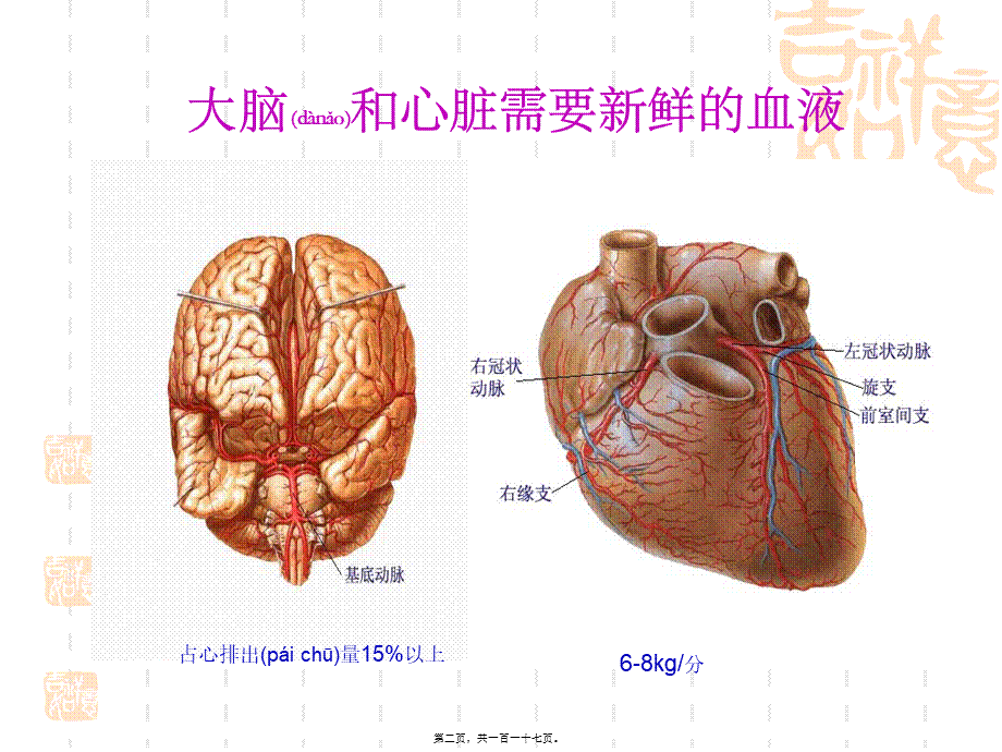 2022年医学专题—最新12版基药心脑血管物部分-PPT文档(1).ppt_第2页