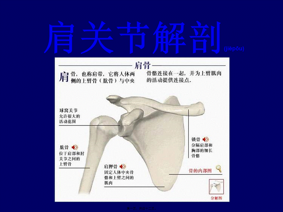 2022年医学专题—肩关节(1).ppt_第1页