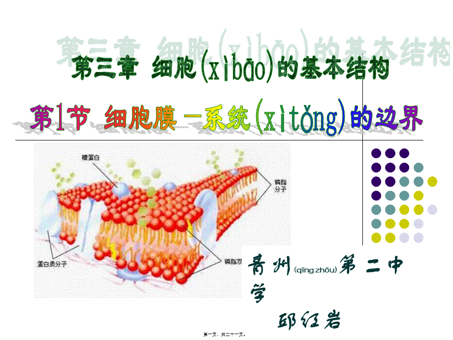 2022年医学专题—细胞膜——系统边界.ppt_第1页