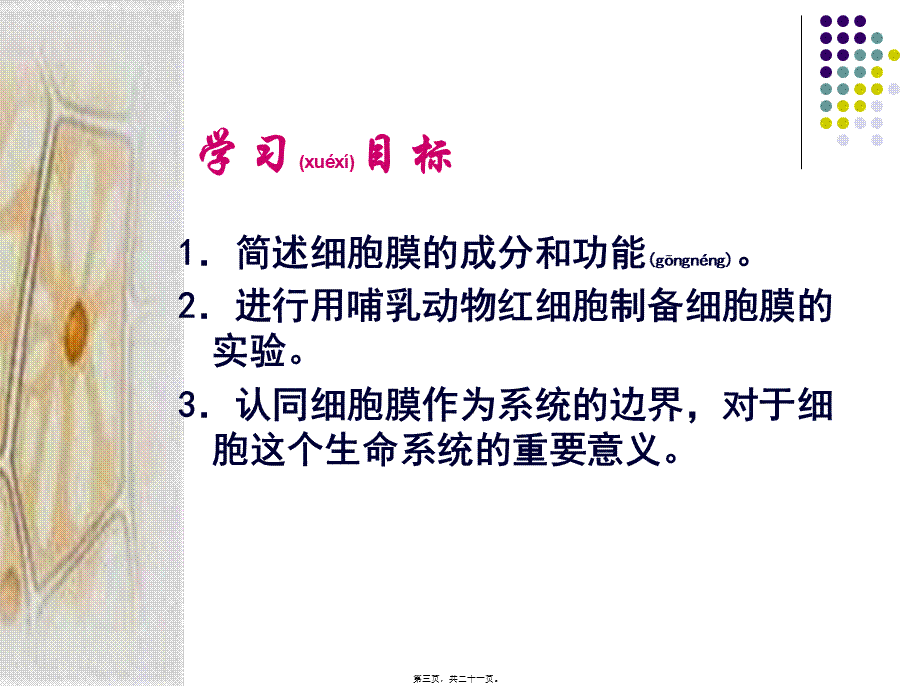 2022年医学专题—细胞膜——系统边界.ppt_第3页