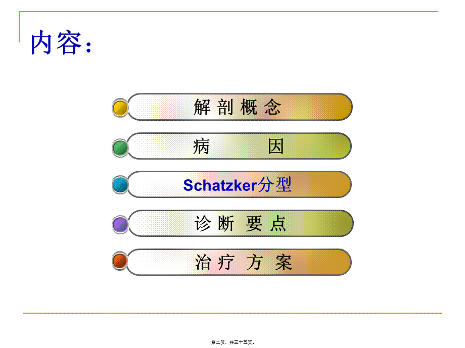 右胫骨平台骨折.pptx_第2页