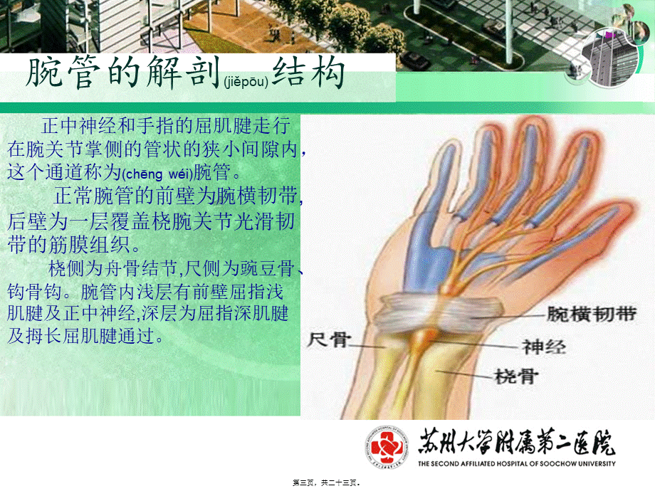 2022年医学专题—腕管综合症-手外科(1).ppt_第3页