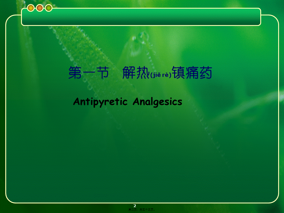 2022年医学专题—-1解热镇痛抗炎药.ppt_第2页