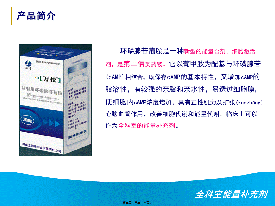 2022年医学专题—注射用环磷腺苷葡胺...ppt_第3页