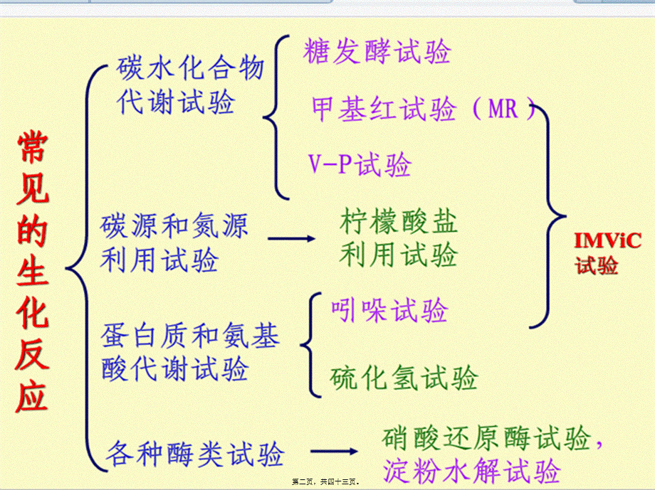 2022年医学专题—细菌的生化试验2015..(1).ppt_第2页