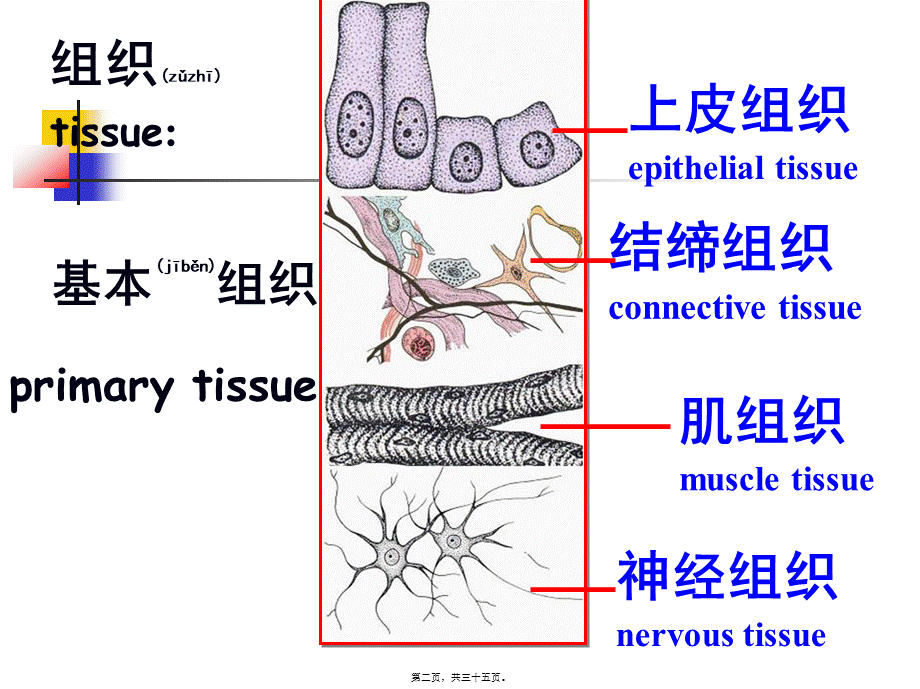 2022年医学专题—绪论和细胞(1).ppt_第2页