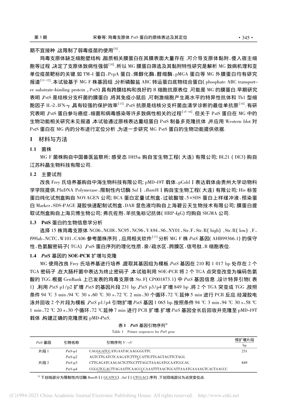 鸡毒支原体PstS蛋白的原核表达及其定位_宋春.pdf_第2页