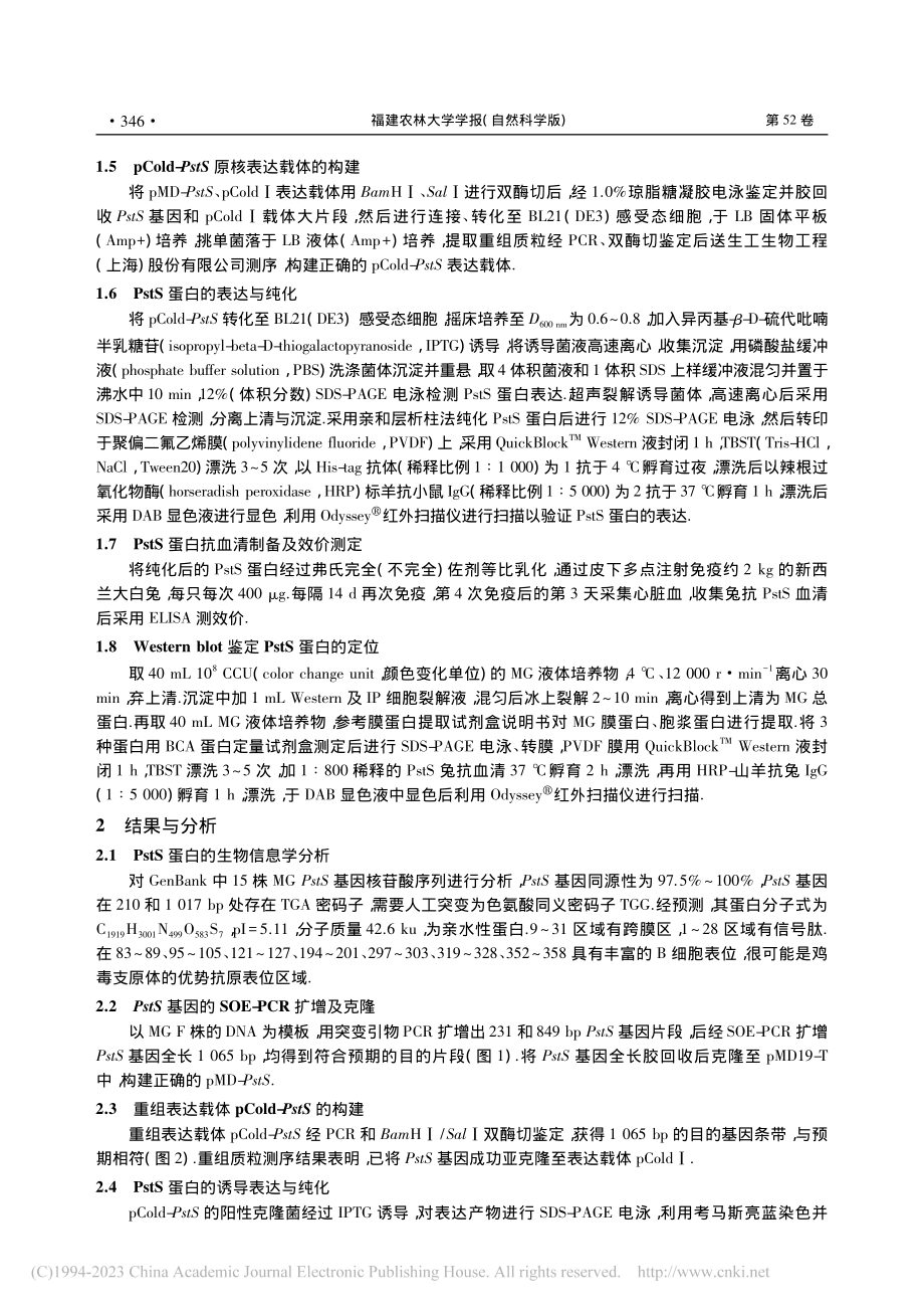 鸡毒支原体PstS蛋白的原核表达及其定位_宋春.pdf_第3页