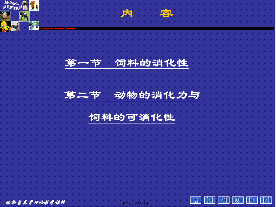 动物营养学--第二章--动物对饲料的消化.pptx_第3页