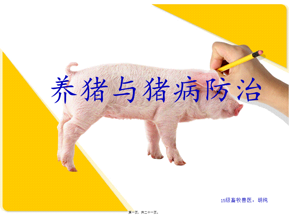 养猪与猪病防治.pptx_第1页