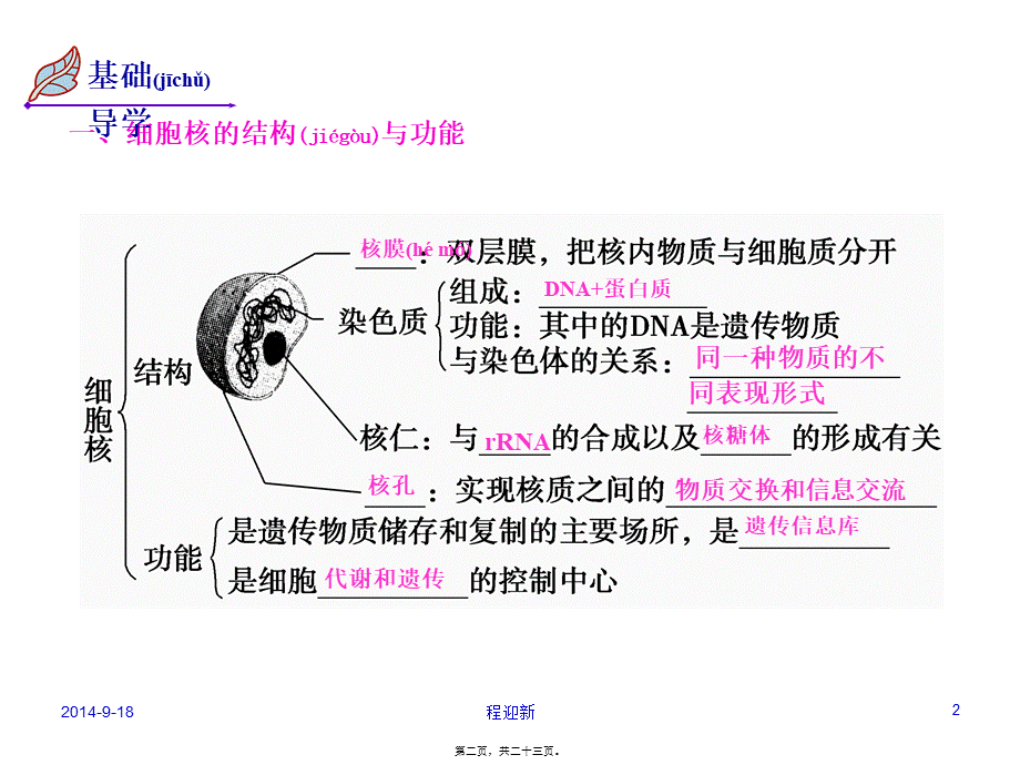 2022年医学专题—第8讲-细胞核(完整).ppt_第2页