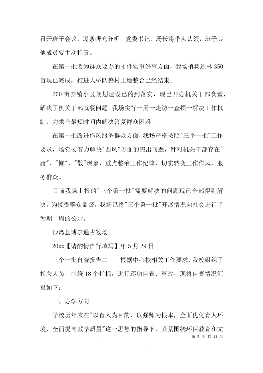 三个一批自查报告.docx_第2页