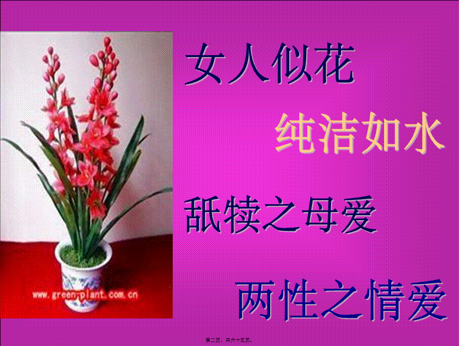 妇科讲座ppt-余姿晓.pptx_第2页