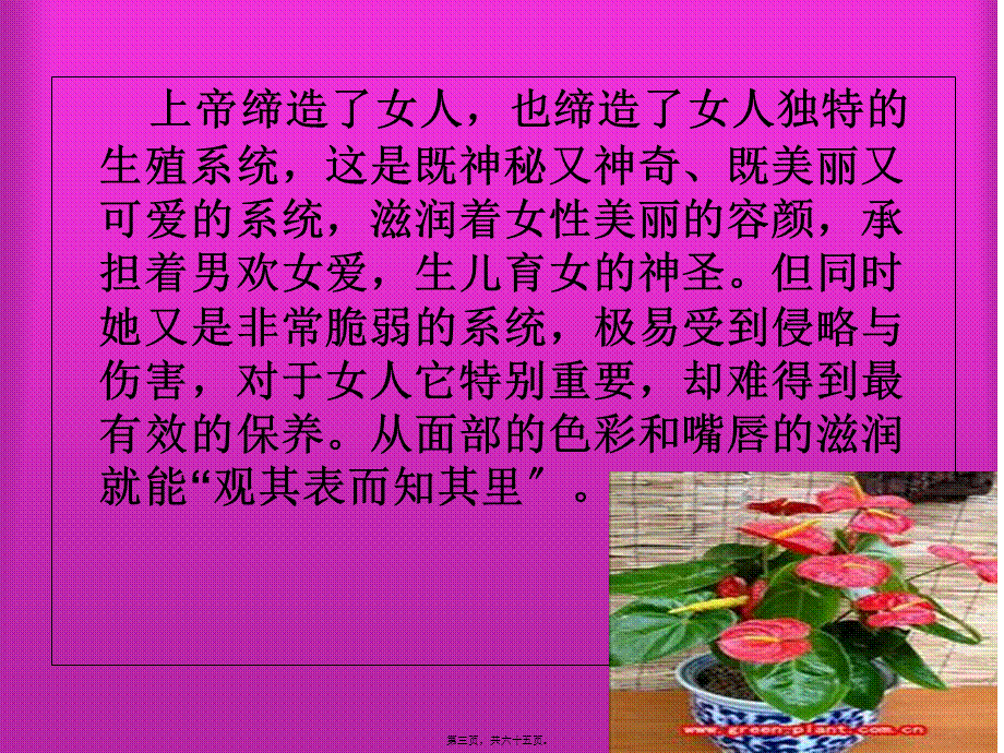 妇科讲座ppt-余姿晓.pptx_第3页