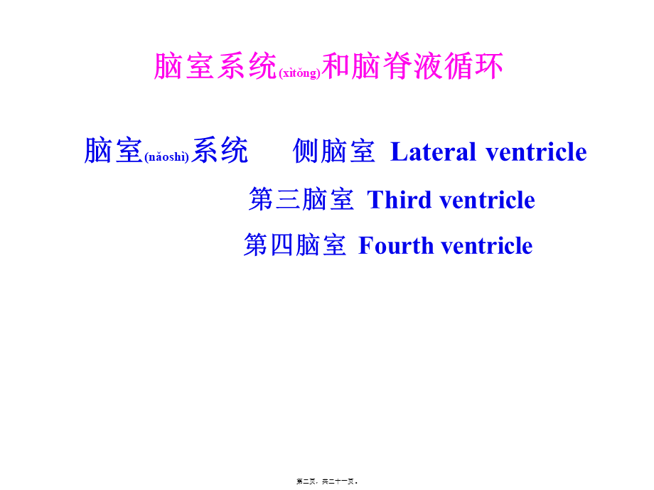 2022年医学专题—脑室系统和脑脊液循环.ppt_第2页