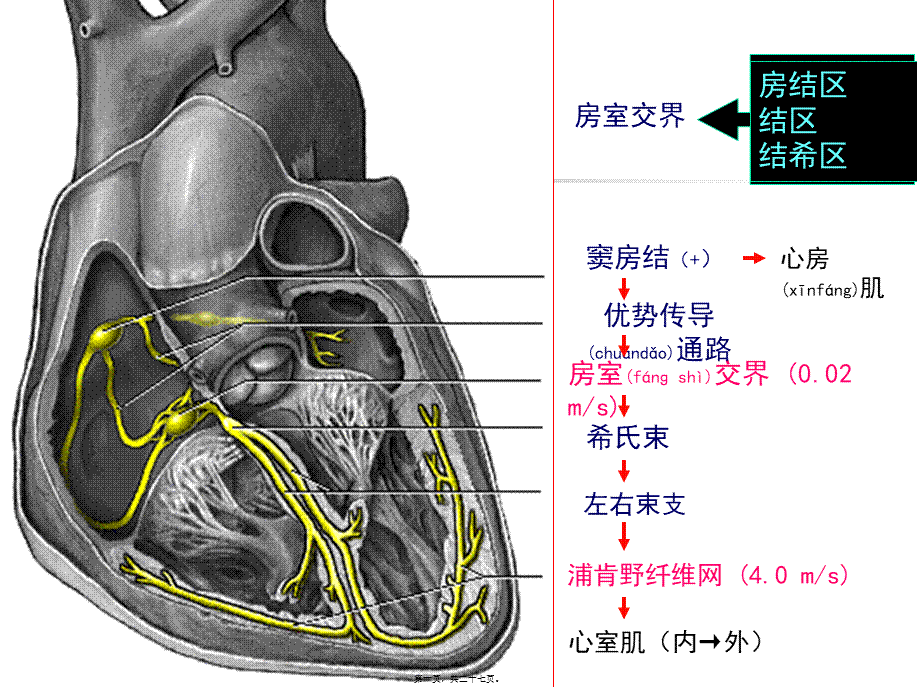 2022年医学专题—章抗心律失常药(1).ppt_第1页