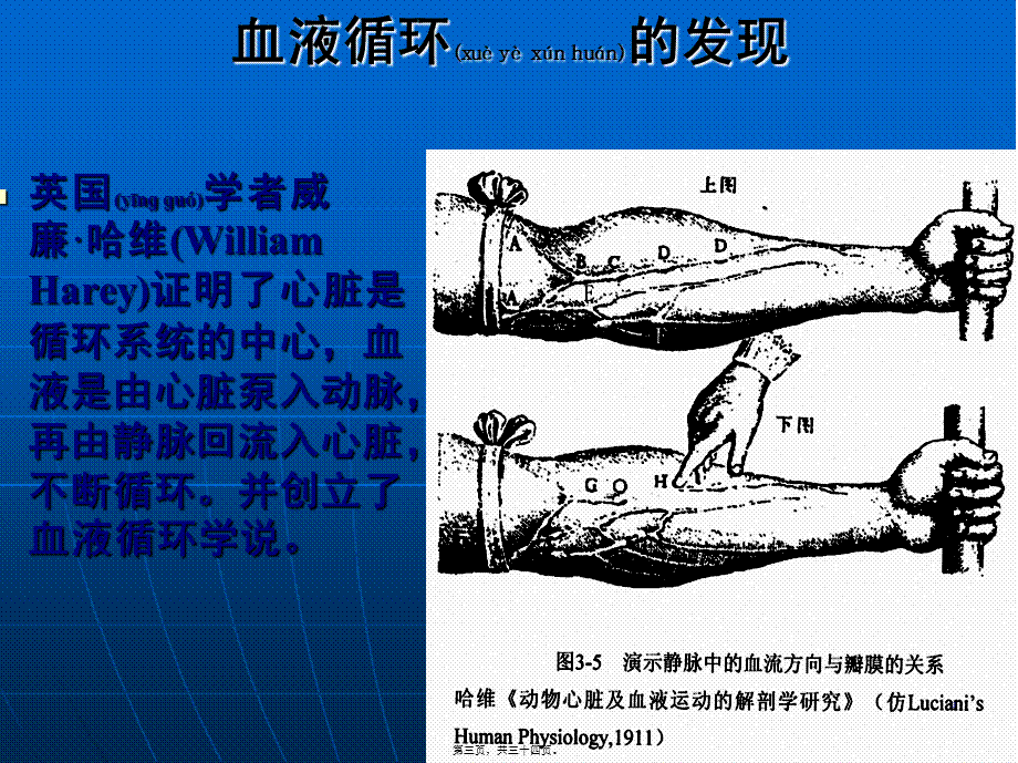 2022年医学专题—第四章血液循环..(1).ppt_第3页