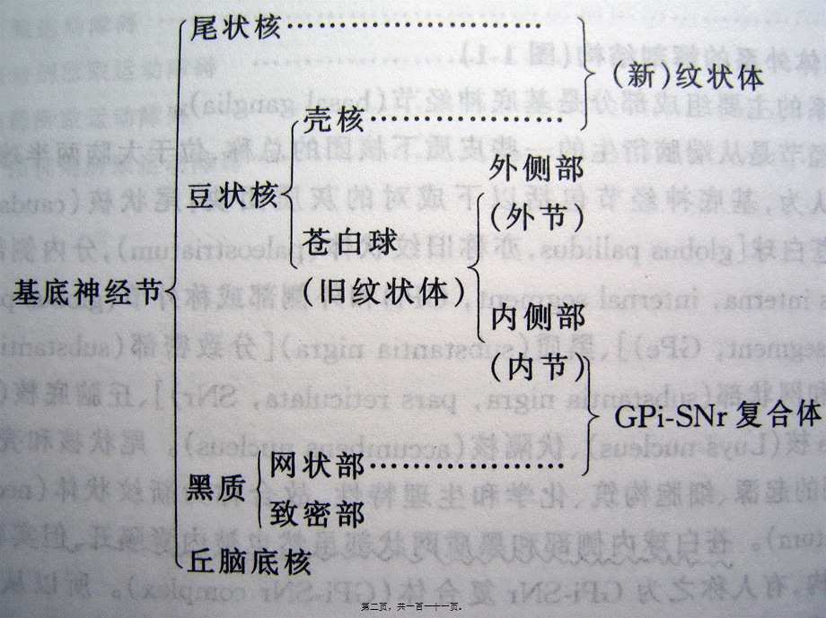 2022年医学专题—帕金森氏病讲座[1](1).ppt_第2页