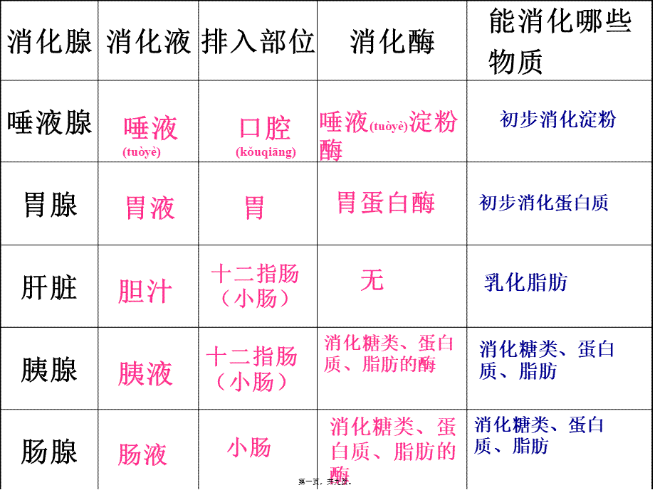 2022年医学专题—消化和吸收2-Microsoft-PowerPoint-幻灯片.ppt_第1页