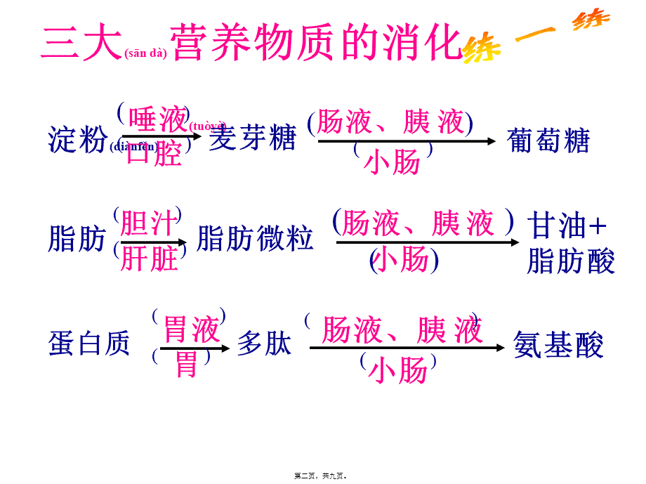 2022年医学专题—消化和吸收2-Microsoft-PowerPoint-幻灯片.ppt_第2页