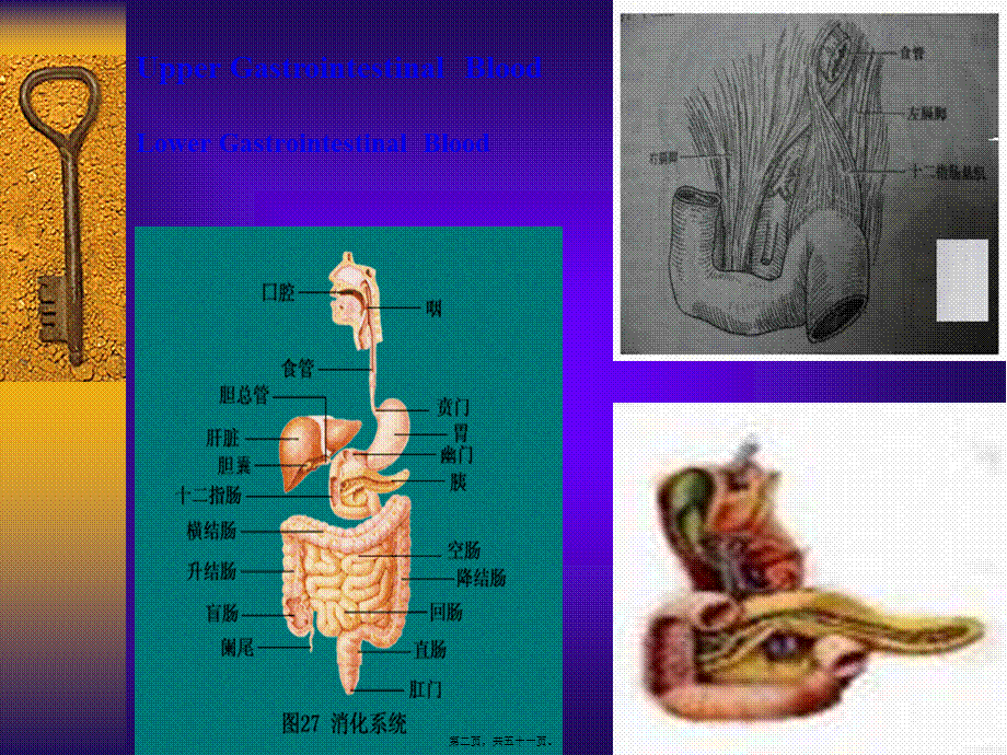 2022年医学专题—呕血便血2013.ppt_第2页