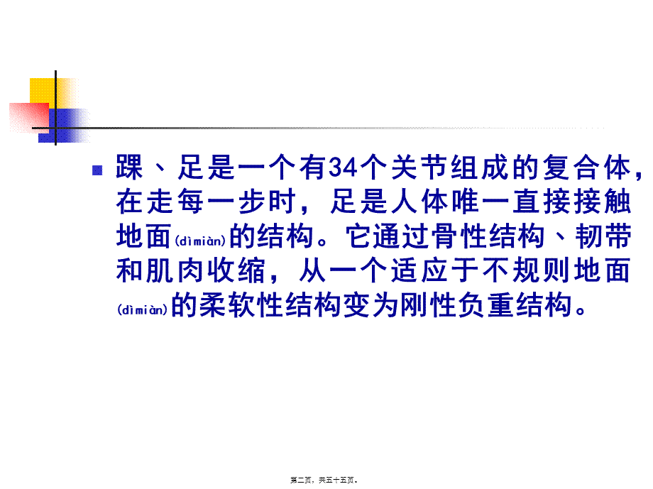 2022年医学专题—常见踝﹑足跑步损伤的康复.ppt_第2页