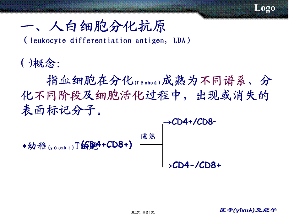 2022年医学专题—白细胞分化抗原和黏附分MHC(1).ppt_第2页