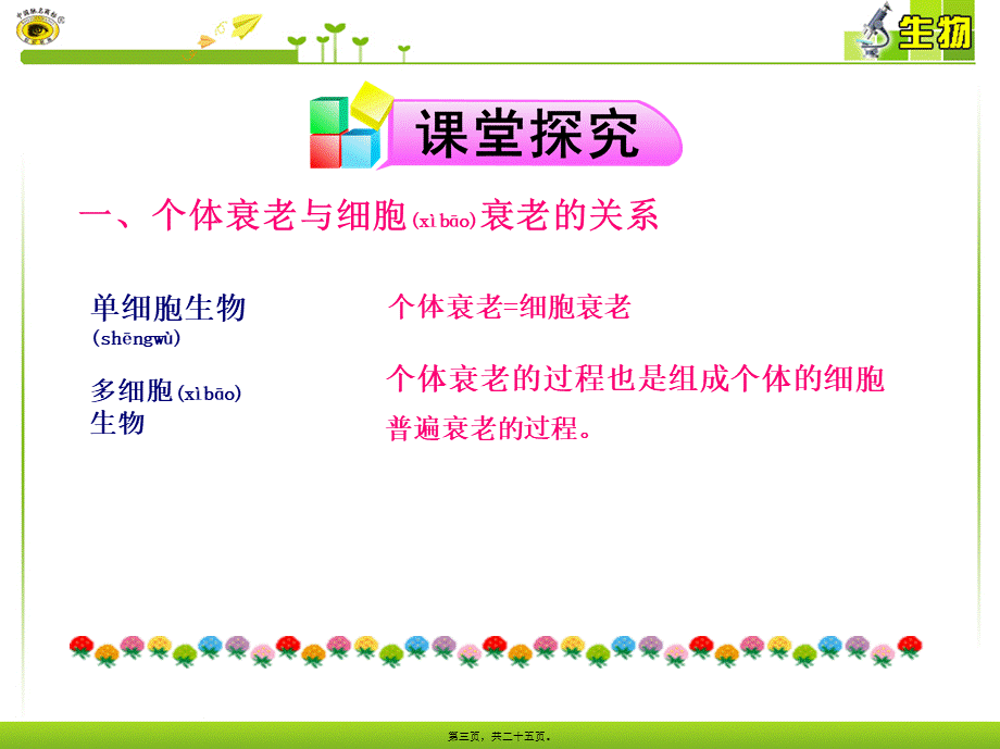 2022年医学专题—第3、4节-细胞的衰老和凋亡·细胞的癌变(1).ppt_第3页