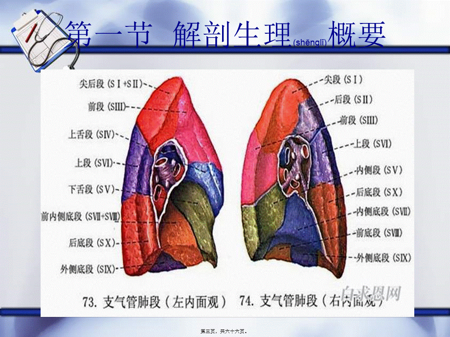 2022年医学专题—第二十章肺癌讲述.ppt_第3页