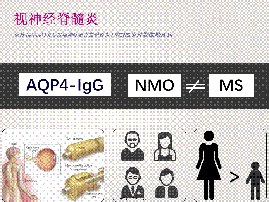 2022年医学专题—中国NMOSD诊治指南2015(1).ppt_第2页