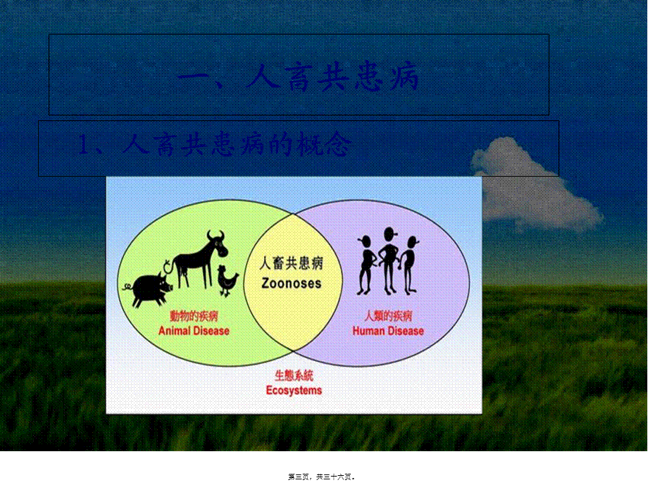 人畜共患传染病及防控策略.pptx_第3页